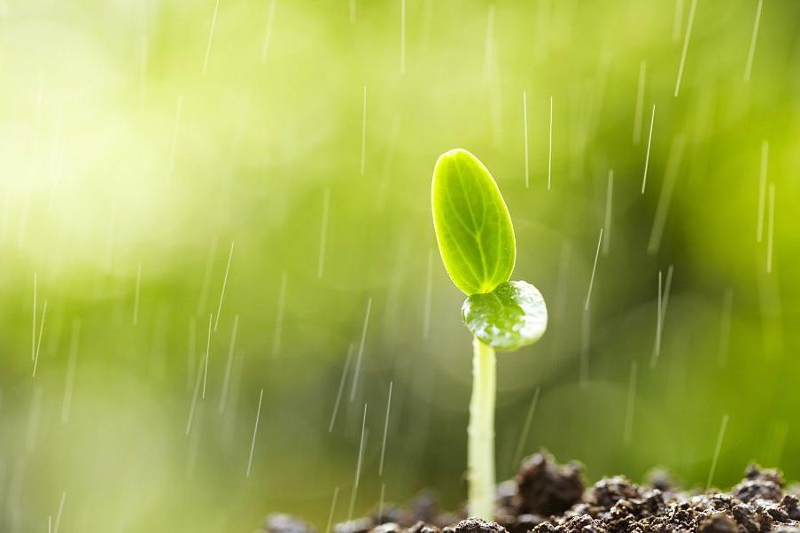 60句雨水节气的文案，可直接用！